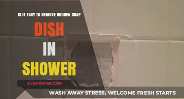 Removing a Broken Soap Dish in the Shower: Easy or Not?