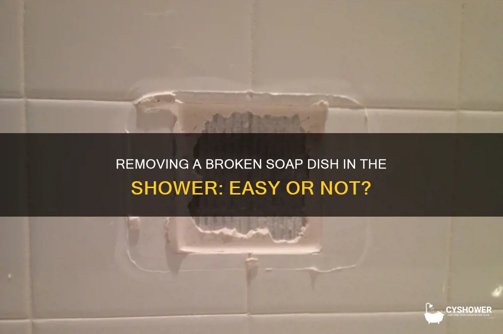 is it easy to remove broken soap dish in shower