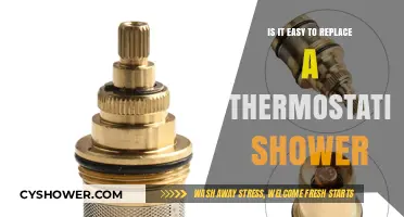 Replacing a Thermostatic Shower: Simple DIY or Professional Job?