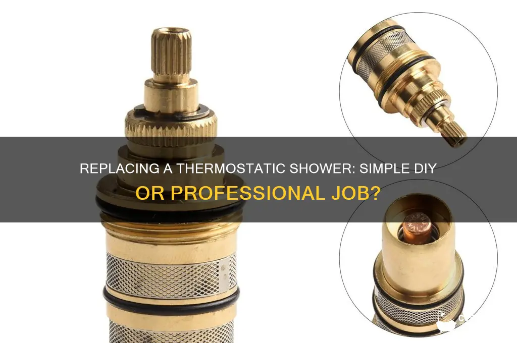 is it easy to replace a thermostatic shower