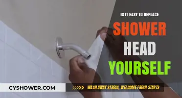 DIY Shower Head Replacement: A Simple Task or Professional Job?