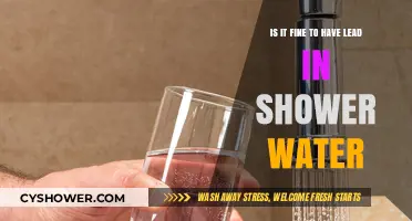 Is Lead in Shower Water Safe? Understanding the Risks and Solutions