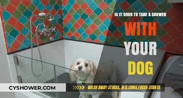 Showering with Your Dog: Benefits, Tips, and What to Avoid