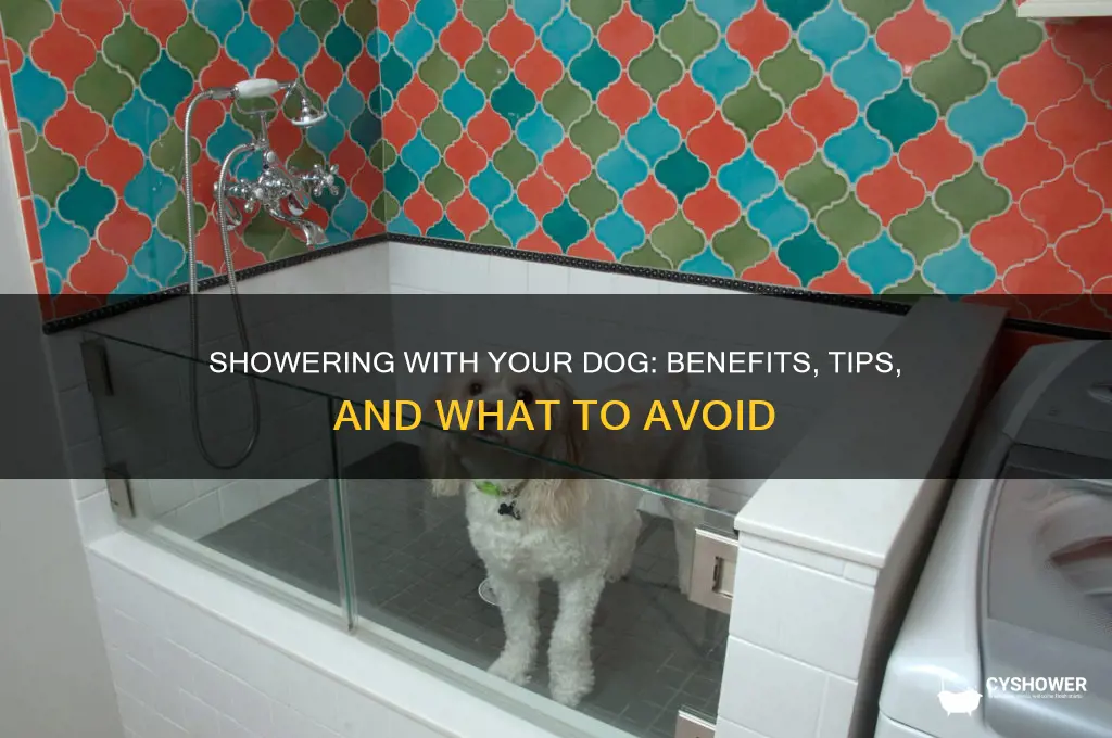 is it good to take a shower with your dog