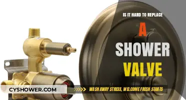 Replacing a Shower Valve: Is It a DIY Challenge or Easy Fix?