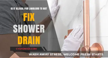 Is It Illegal for Landlords to Ignore Shower Drain Repairs?