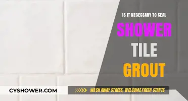 Sealing Shower Tile Grout: Essential Maintenance or Optional Step?