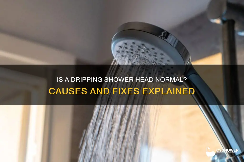 is it normal for a shower head to drip