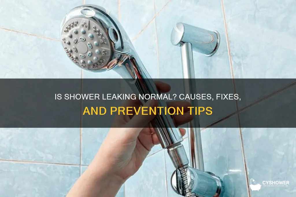 is it normal for a shower to leak water