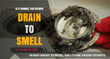 Why Does My Shower Drain Smell? Causes and Quick Fixes
