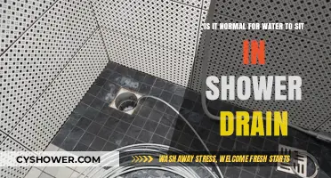 Is Water Pooling in Your Shower Drain Normal? Find Out!