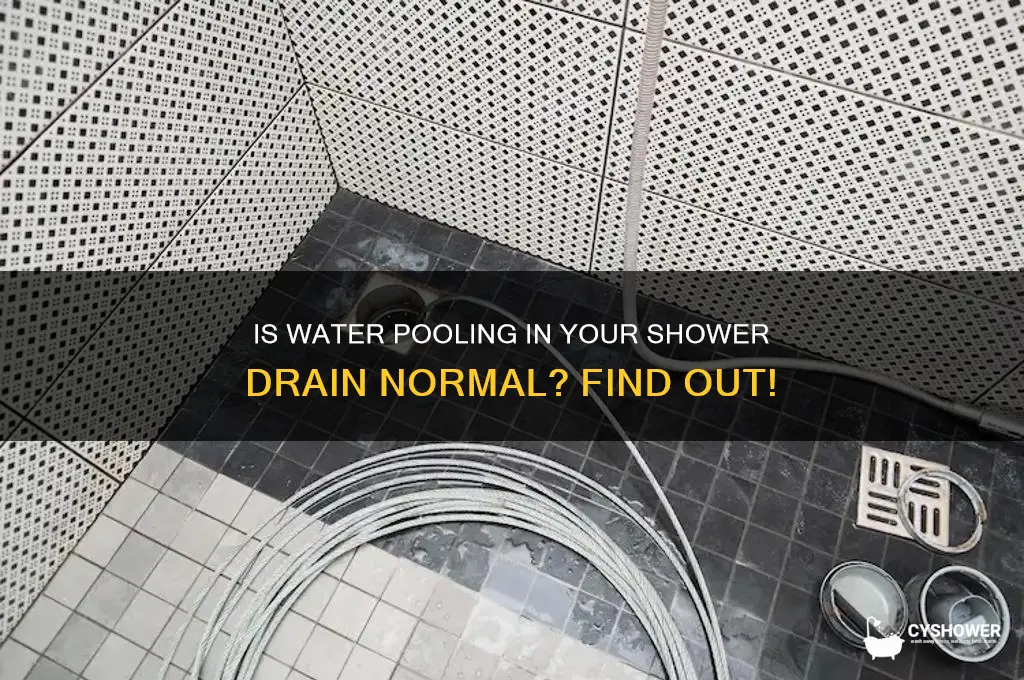 is it normal for water to sit in shower drain