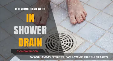 Is Water in Your Shower Drain Normal? Causes and Solutions