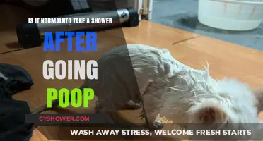 Post-Poop Showers: Normal Hygiene or Overkill? Let’s Discuss!