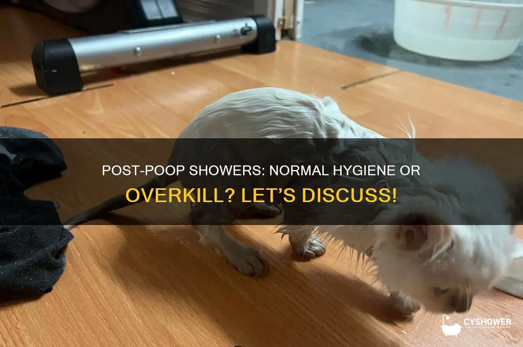 is it normalnto take a shower after going poop