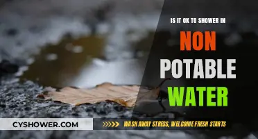 Showering with Non-Potable Water: Safe or Health Hazard?