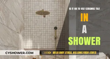 Ceramic Tiles in Showers: Pros, Cons, and Best Practices