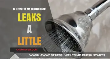 Is a Leaky Shower Head Normal or a Plumbing Concern?