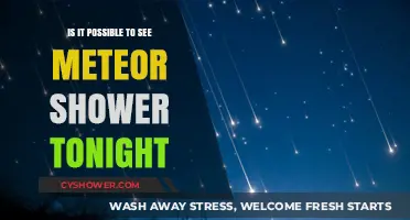 Tonight's Sky: Can You Spot a Meteor Shower?