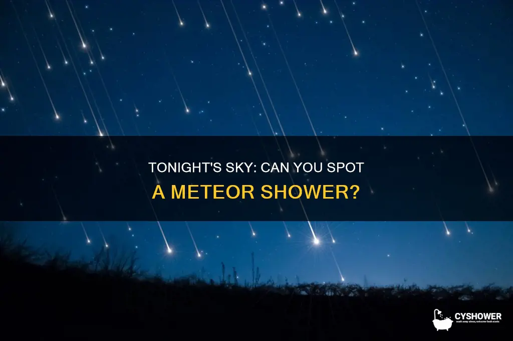 is it possible to see meteor shower tonight