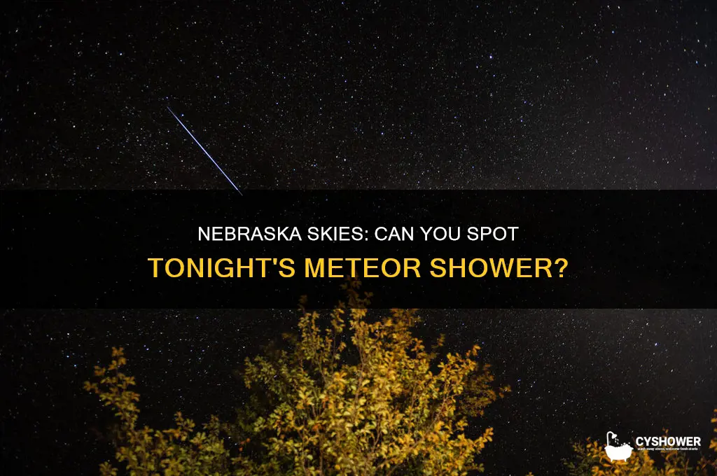 is it possible to see tonights meteor shower in nebraska