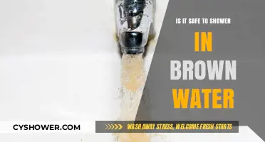 Is Showering in Brown Water Safe? Risks and Solutions Explained