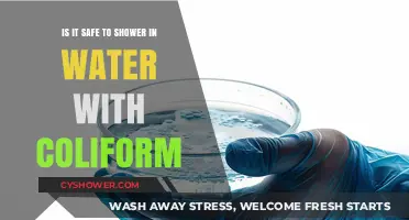 Is Showering in Coliform-Contaminated Water Safe? What You Need to Know