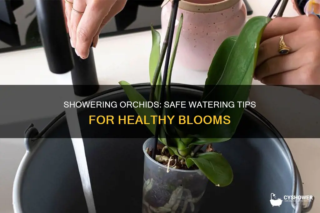 is it safe to shower orchids woth water