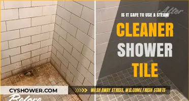 Steam Cleaners for Shower Tiles: Safe or Risky Cleaning Method?