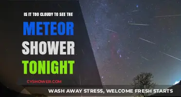 Cloudy Skies Tonight: Will They Hide the Meteor Shower?