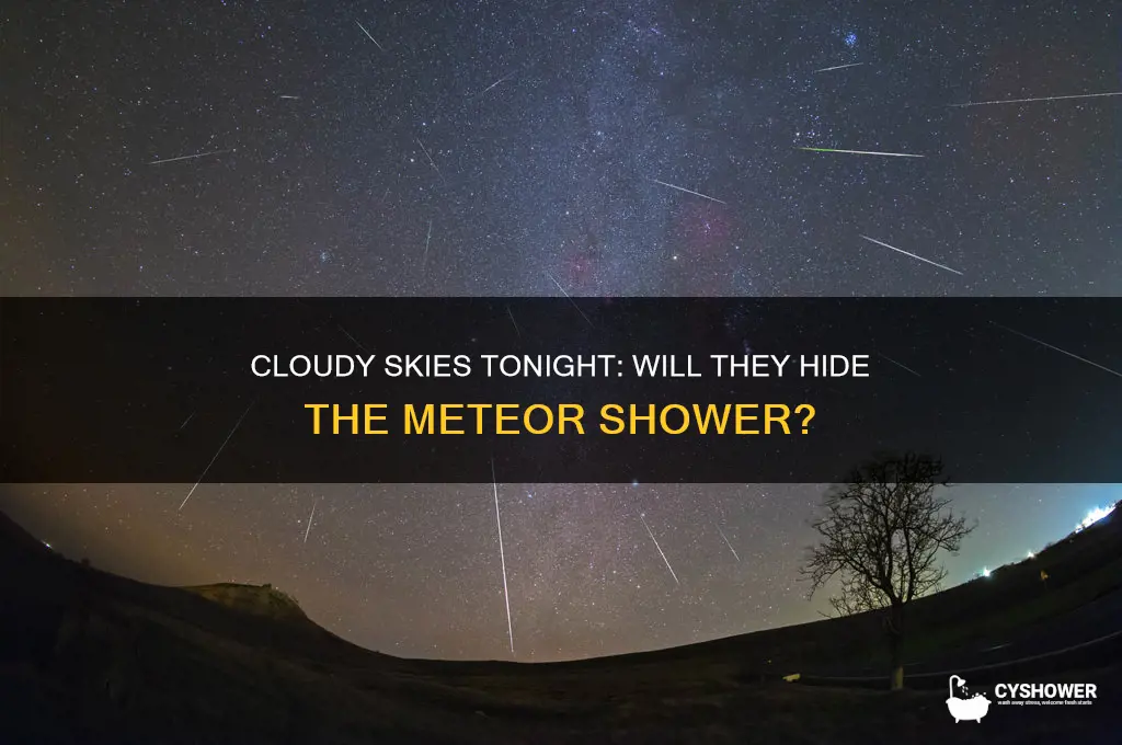 is it too cloudy to see the meteor shower tonight