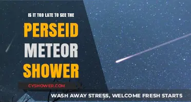 Catching the Perseids: Is It Too Late to Spot the Show?