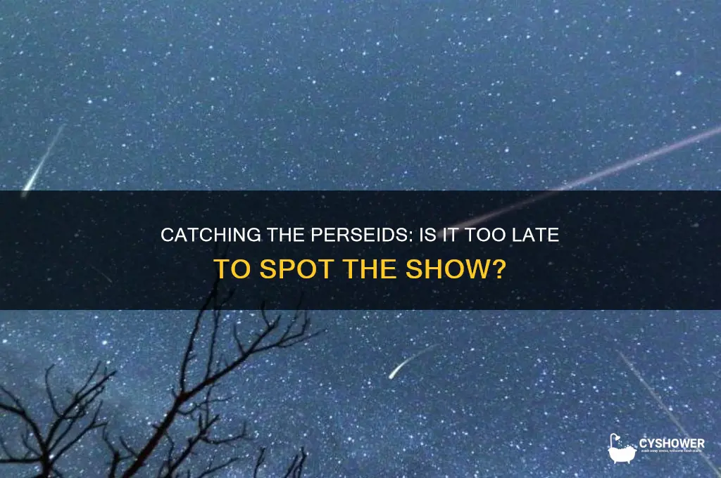 is it too late to see the perseid meteor shower