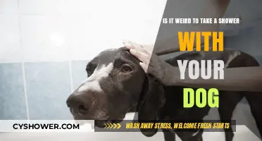 Showering with Your Dog: Weird or Wonderful Bonding Experience?