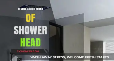 Juno Shower Heads Reviewed: Quality, Performance, and Value Explored