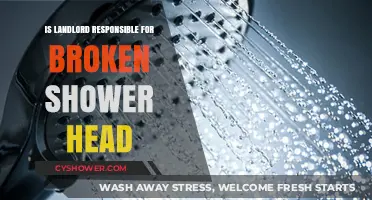 Landlord's Duty: Fixing Broken Shower Heads – Tenant Rights Explained