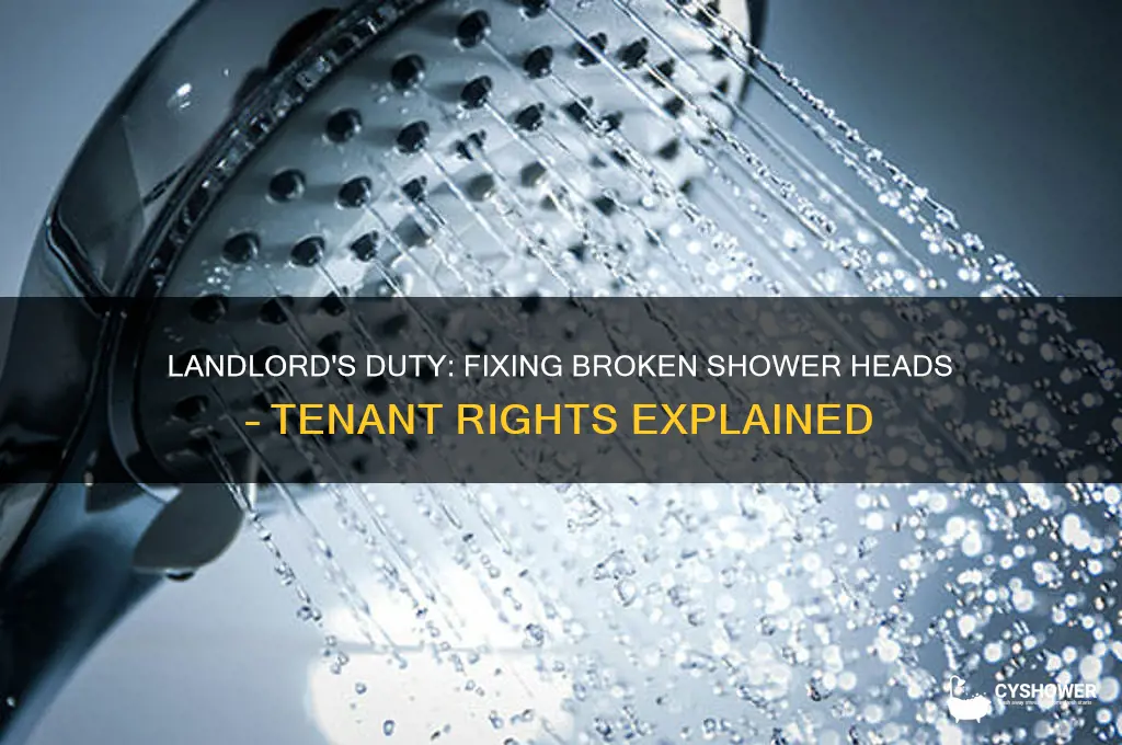 is landlord responsible for broken shower head