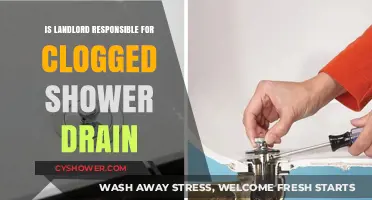 Who's Responsible for a Clogged Shower Drain: Landlord or Tenant?