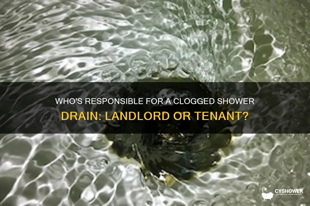 is landlord responsible for clogged shower drain