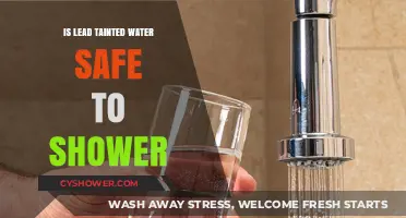 Is Showering in Lead-Tainted Water Safe? What You Need to Know