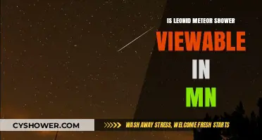 Viewing Leonid Meteor Shower in Minnesota: Tips and Best Spots