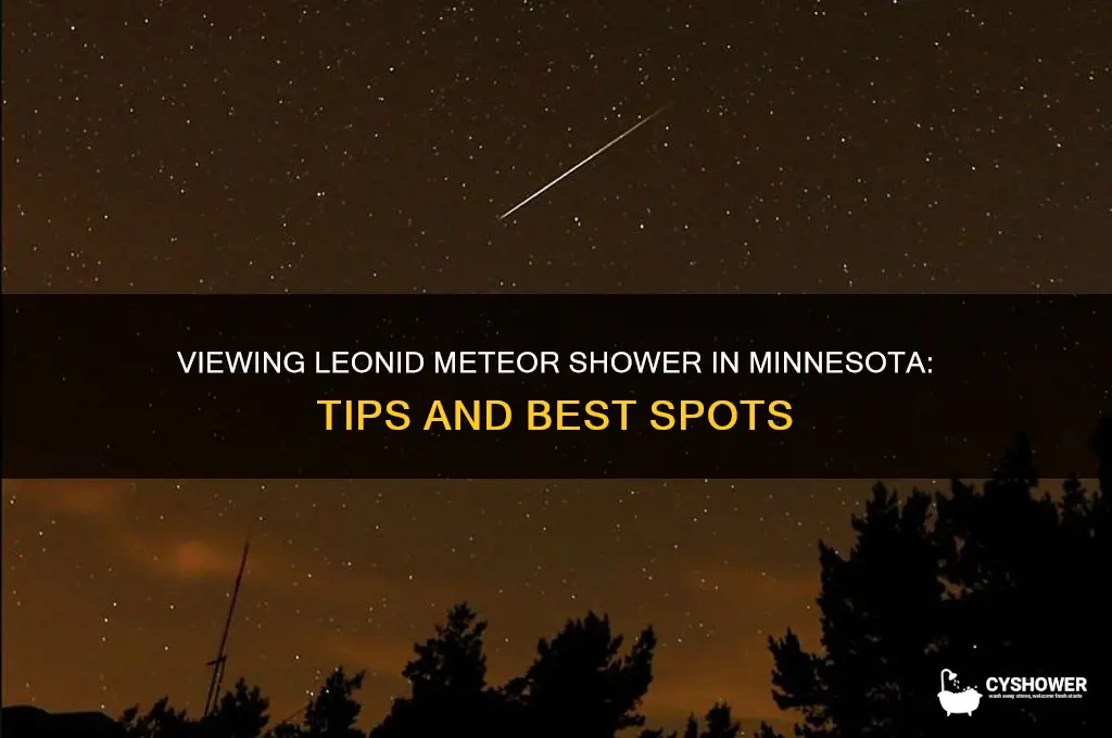 is leonid meteor shower viewable in mn