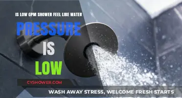 Low GPM Showers: Why Water Pressure Feels Weaker and Solutions