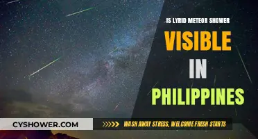 Lyrid Meteor Shower Visibility in the Philippines: A Celestial Guide