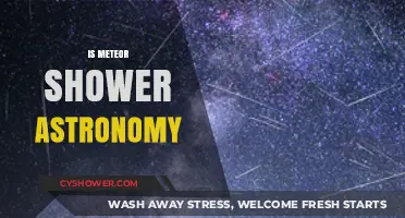 Exploring Meteor Showers: Are They Truly Astronomy's Celestial Spectacle?