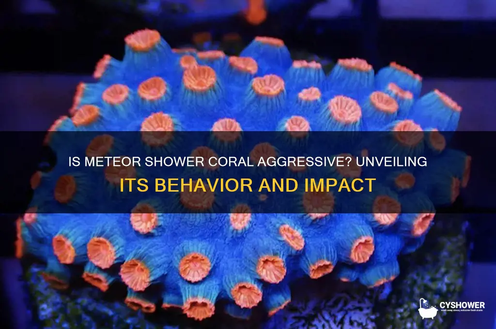 is meteor shower coral aggressive