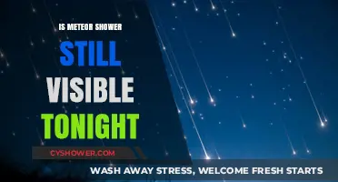 Can You Still See the Meteor Shower Tonight? Quick Guide