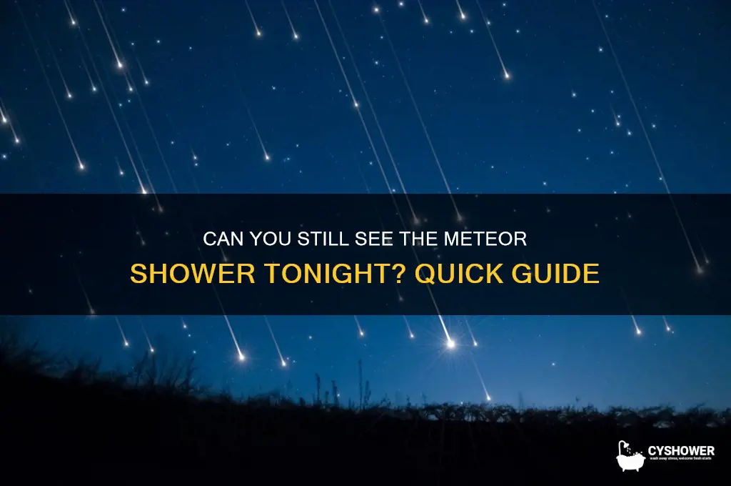 is meteor shower still visible tonight