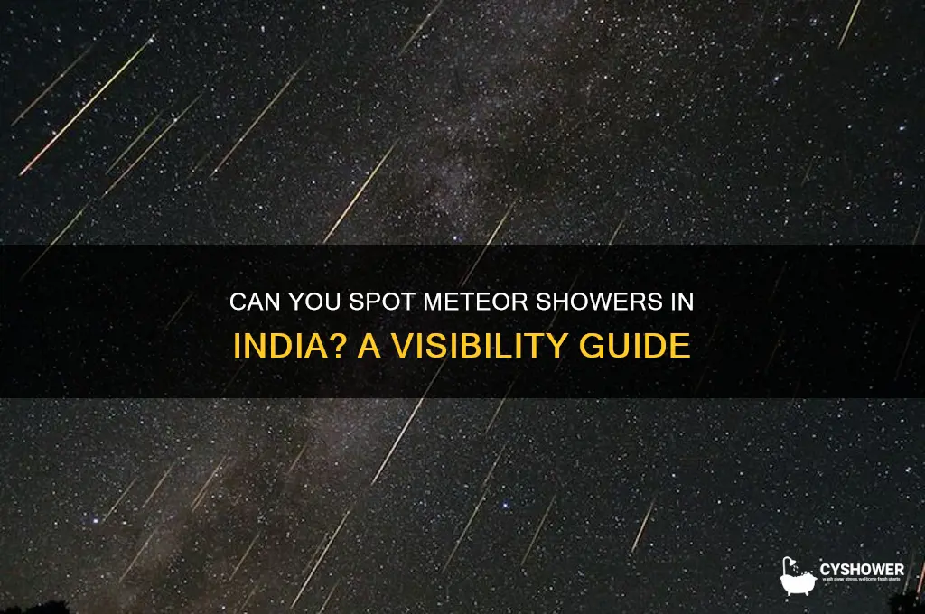 is meteor shower visible in india