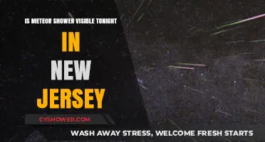 New Jersey Skywatchers: Is Tonight's Meteor Shower Visible?